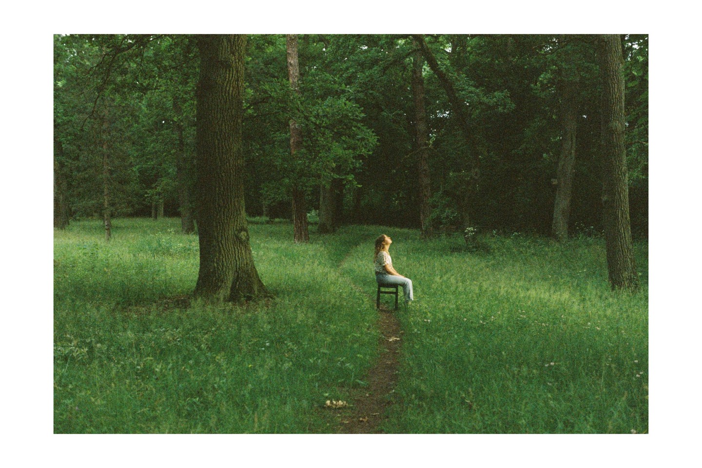 A woman sits on a chair in a forest clearing, looking up at the sky.