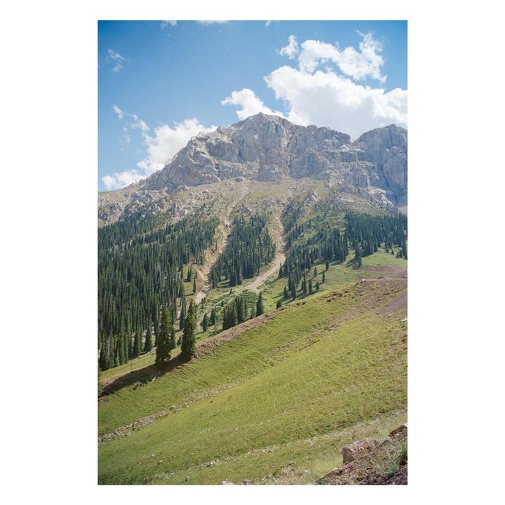 A mountain with a rocky peak and a forest of tall, slender trees on its slopes is visible under a blue sky with white clouds.