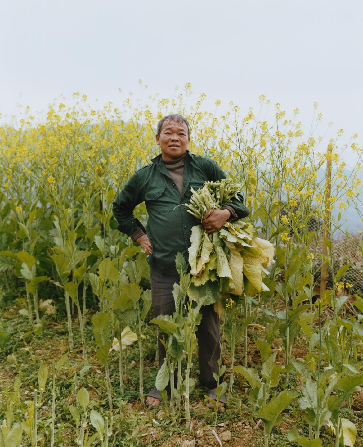 A man stands in a field of yellow flowers, holding a bundle of green leafy vegetables.