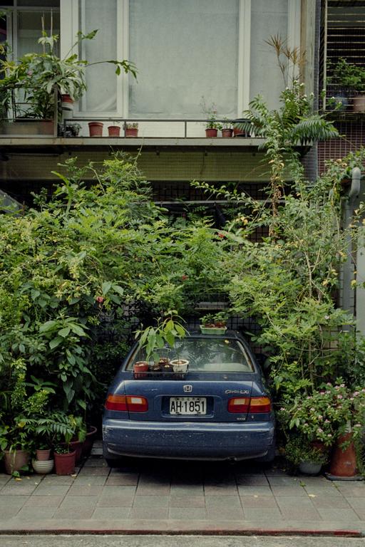 A blue car is parked in a driveway surrounded by lush green plants and potted plants on its trunk and on a balcony above.