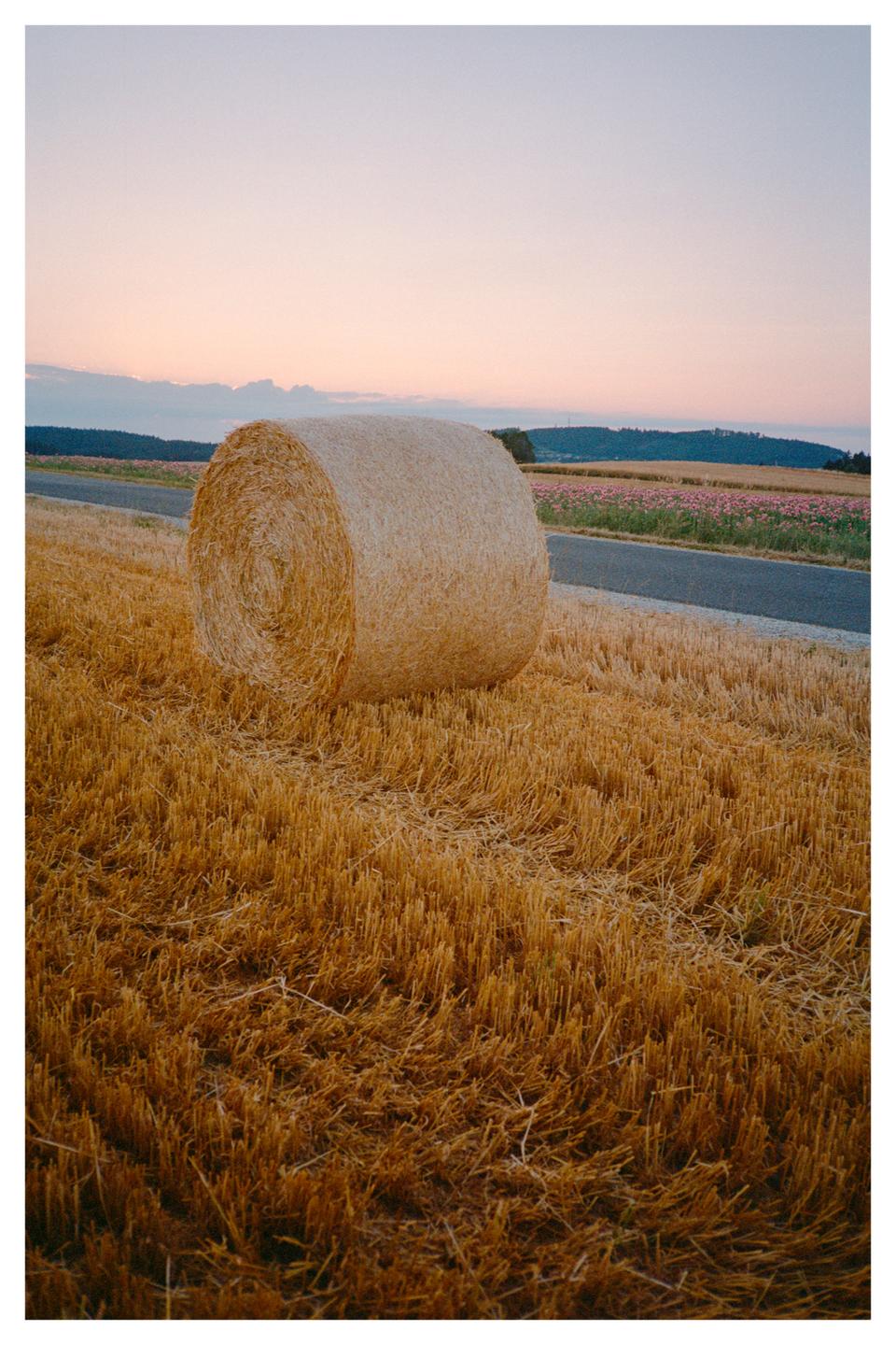 A hay bale sits in a field of stubble next to a road at sunset.