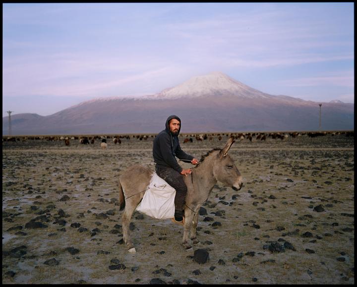 A man sits on a donkey in a field with a snow-capped mountain in the background.