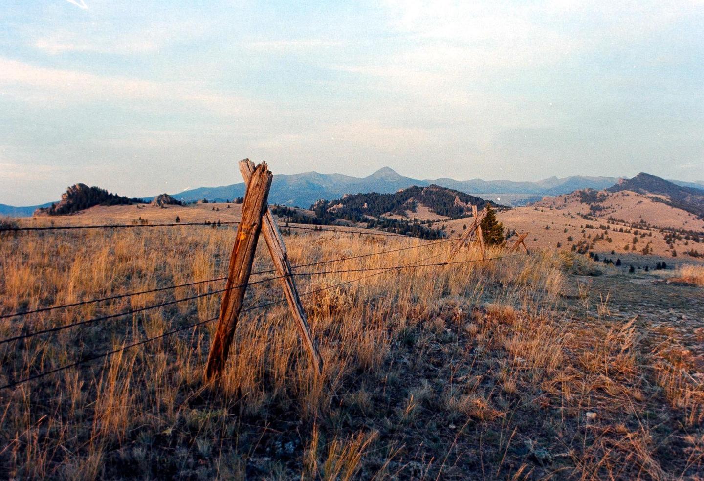A barbed wire fence with wooden posts stretches across a dry grassy field with mountains in the distance under a pale sky.