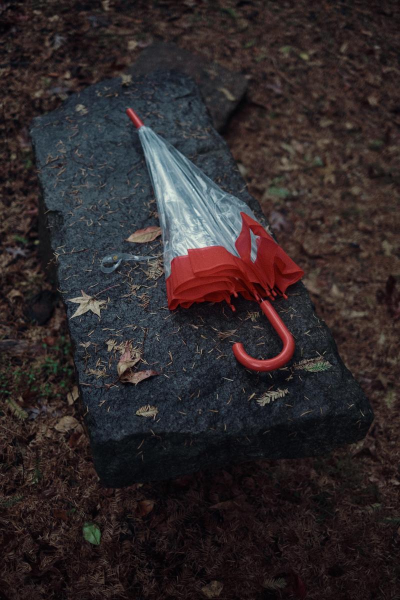 A red and clear umbrella rests on a dark stone surrounded by fallen leaves and pine needles.