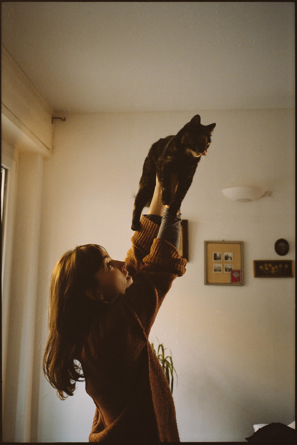 A woman holds a cat up in the air, looking up at it.