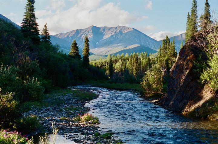 A river flows through a valley with mountains and evergreen trees under a cloudy sky.