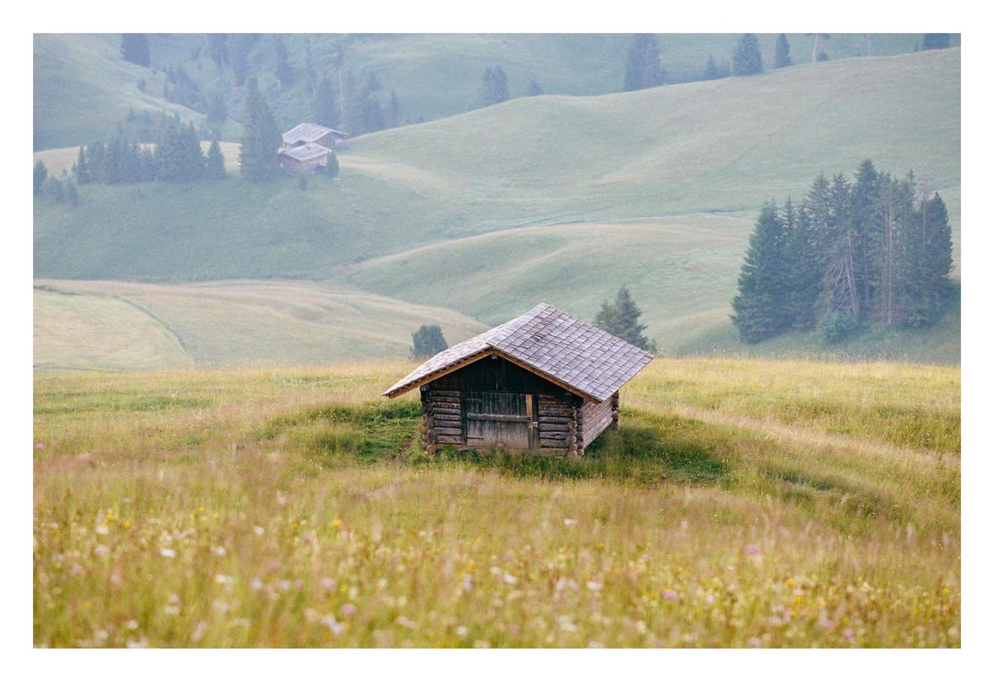 A small wooden cabin with a shingled roof sits in a grassy field with rolling hills and trees in the background.
