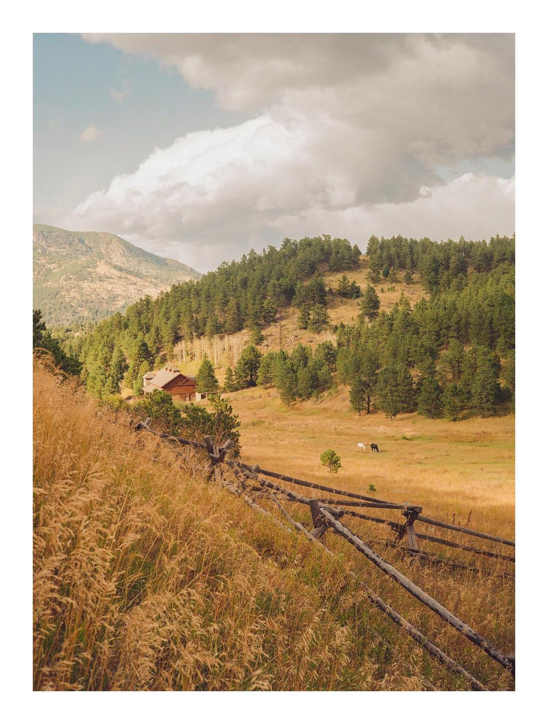 A wooden fence separates a field of tall grass from a valley with a house, trees, and two horses.