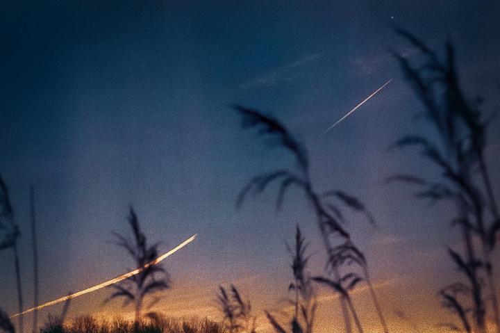 Silhouetted plants are visible against a dark blue and orange sky with two light trails.