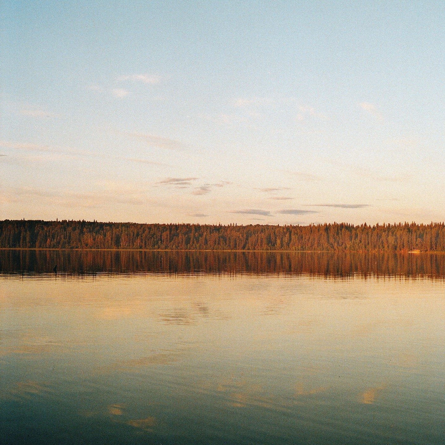 A forest reflects on the still surface of a lake under a soft, colorful sky.