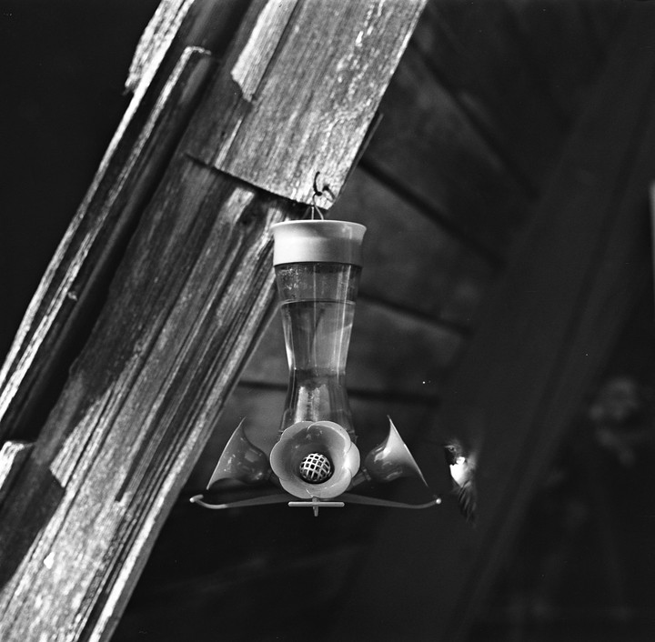A hummingbird feeder hangs from a wooden structure, with a small bird visible on the right.