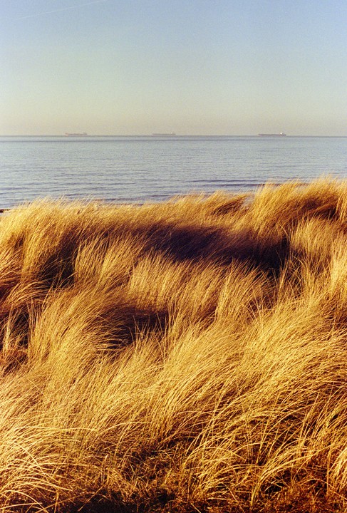 Golden grass covers a dune overlooking the sea with three ships on the horizon.