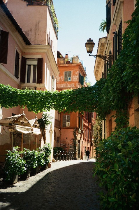 A narrow cobblestone street in Rome is shaded by a canopy of green vines strung between buildings, with a lone figure walking in the distance.