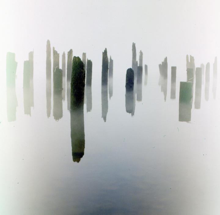Wooden pilings rise from the water, their reflections visible below, in a hazy landscape.