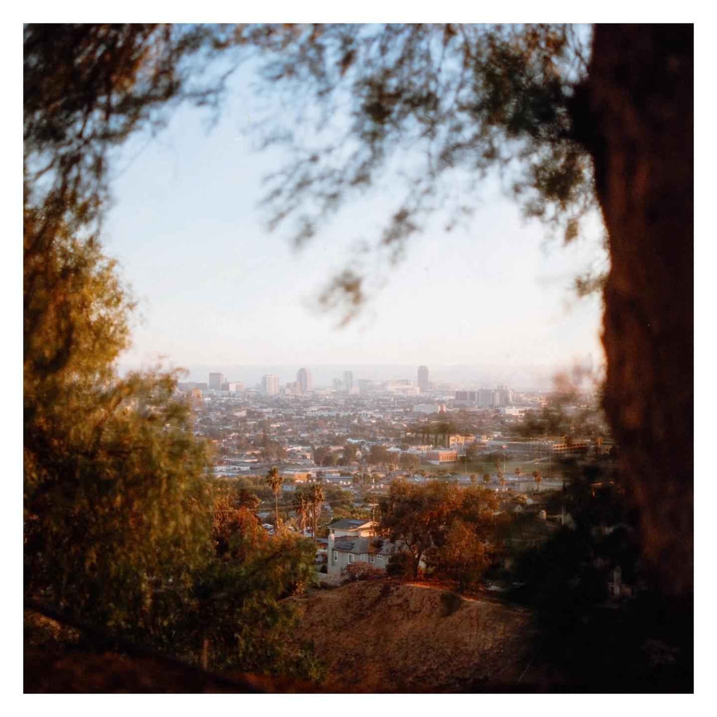 A city skyline is visible in the distance, framed by trees in the foreground.