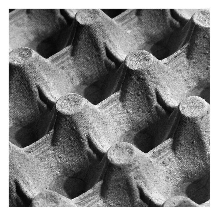 A close-up, high-angle view shows the textured surface of an empty egg carton.