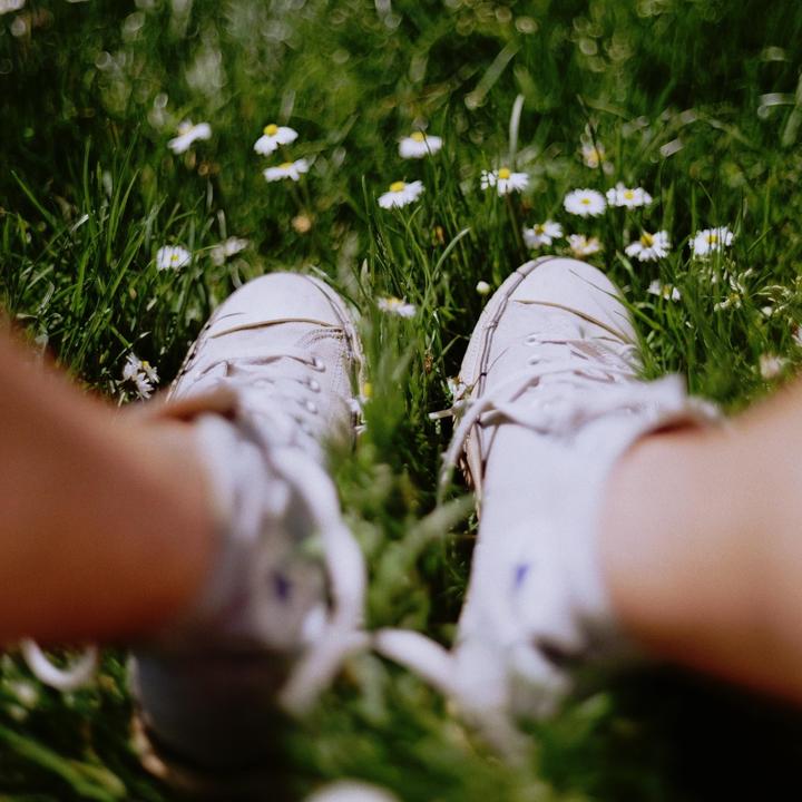 A person's feet wearing sneakers are visible in a field of green grass and small white flowers.