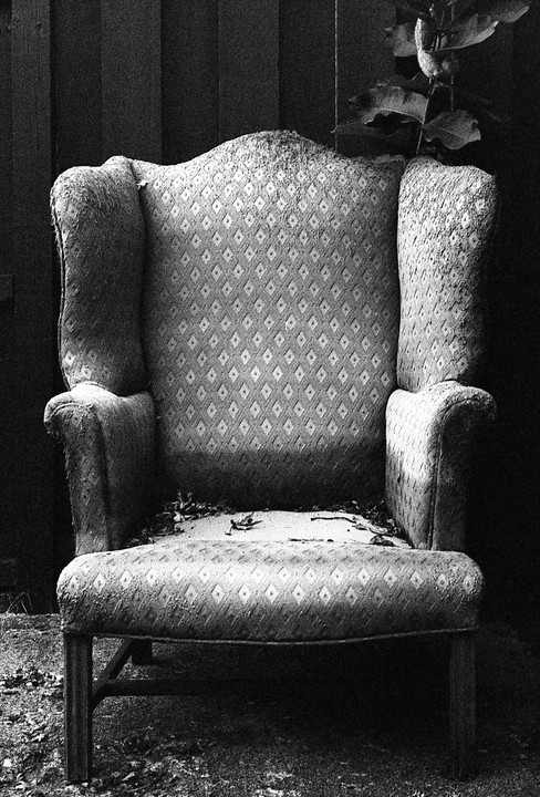An old armchair with a diamond pattern is placed outdoors against a dark wooden fence, with some leaves and debris on its seat.