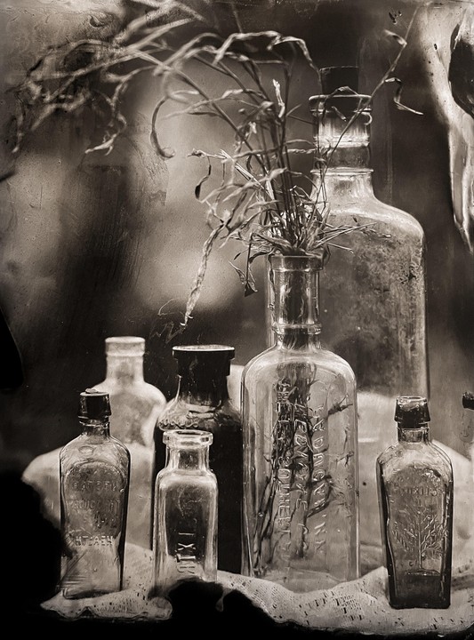 A collection of glass bottles, some with plants, are arranged on a surface.