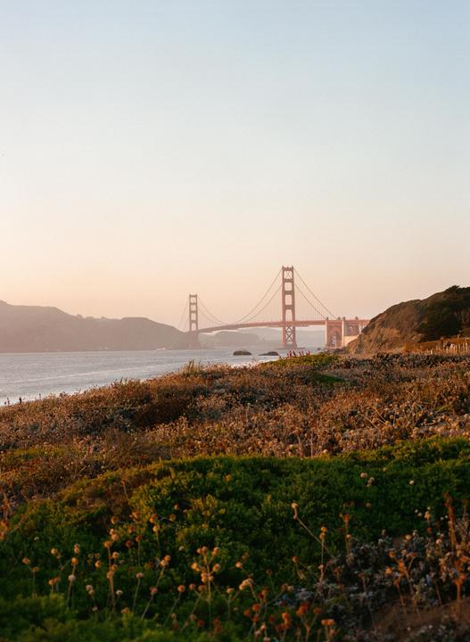 The Golden Gate Bridge is visible in the distance over a body of water, with a hillside covered in dry brush and green shrubs in the foreground.