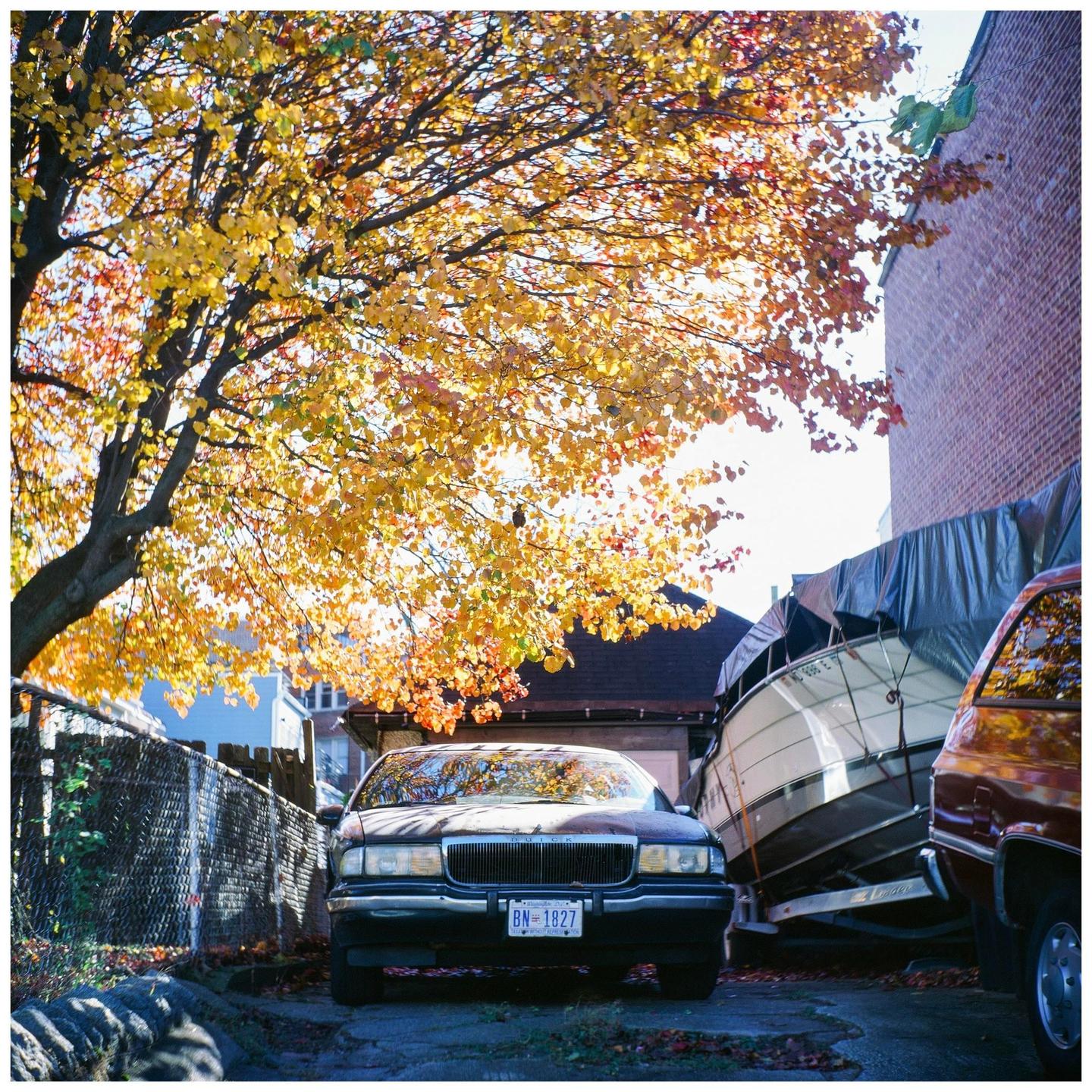 A car is parked under a tree with yellow autumn foliage next to a boat covered with a tarp.