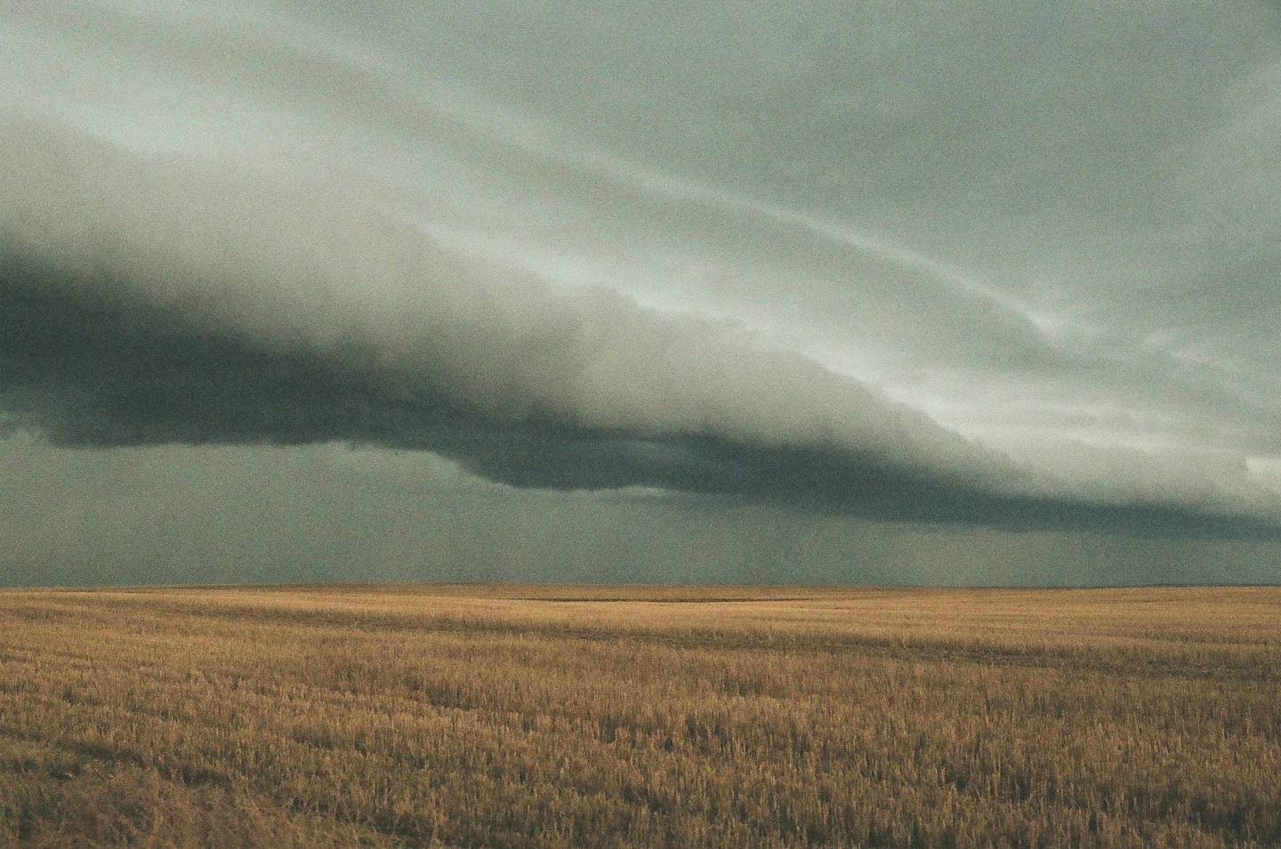 A vast field of dry grass stretches under a dramatic, dark cloud formation.