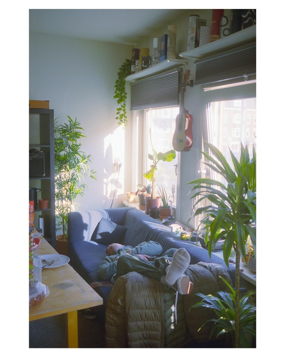 A man is sleeping on a sofa in a sunlit room filled with plants and a ukulele hanging by the window.