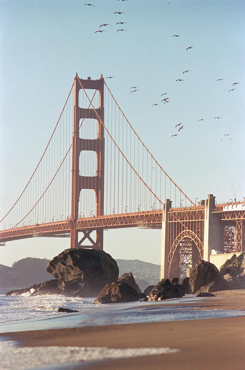The Golden Gate Bridge is visible from a sandy beach with waves crashing on rocks, and birds fly in the sky above.
