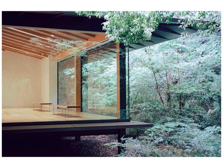 A modern building with large glass windows overlooks a dense forest.