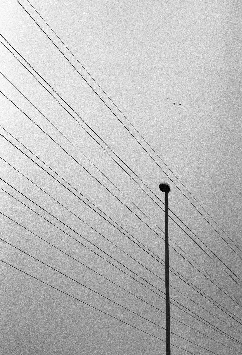 A street light stands tall against a bright sky, with numerous power lines stretching across the frame and three small birds flying in the distance.