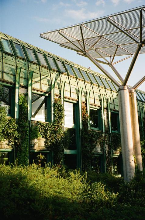 A modern building with a green, curved glass roof and walls covered in ivy is visible under a blue sky.
