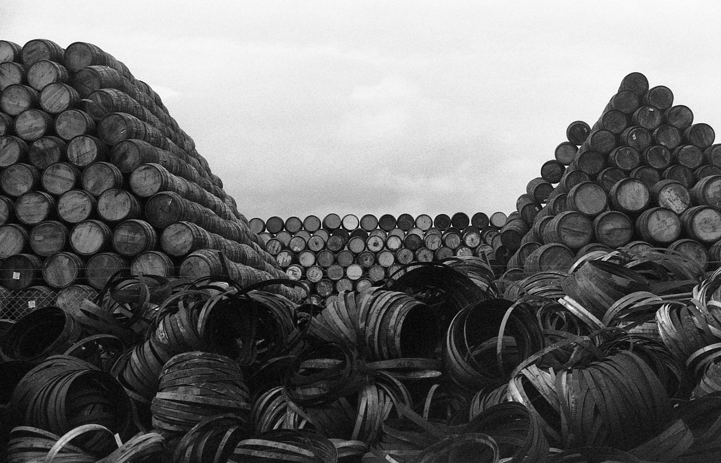 Many whisky barrels are stacked in large piles, with broken barrel staves scattered in the foreground.