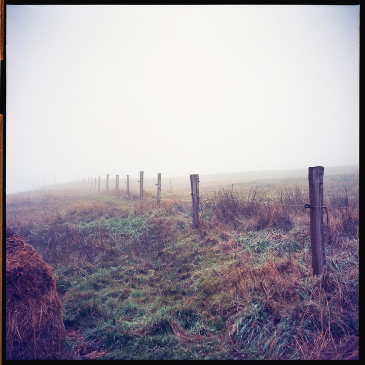 A line of wooden fence posts stretches into the fog across a grassy field with a hay bale in the foreground.