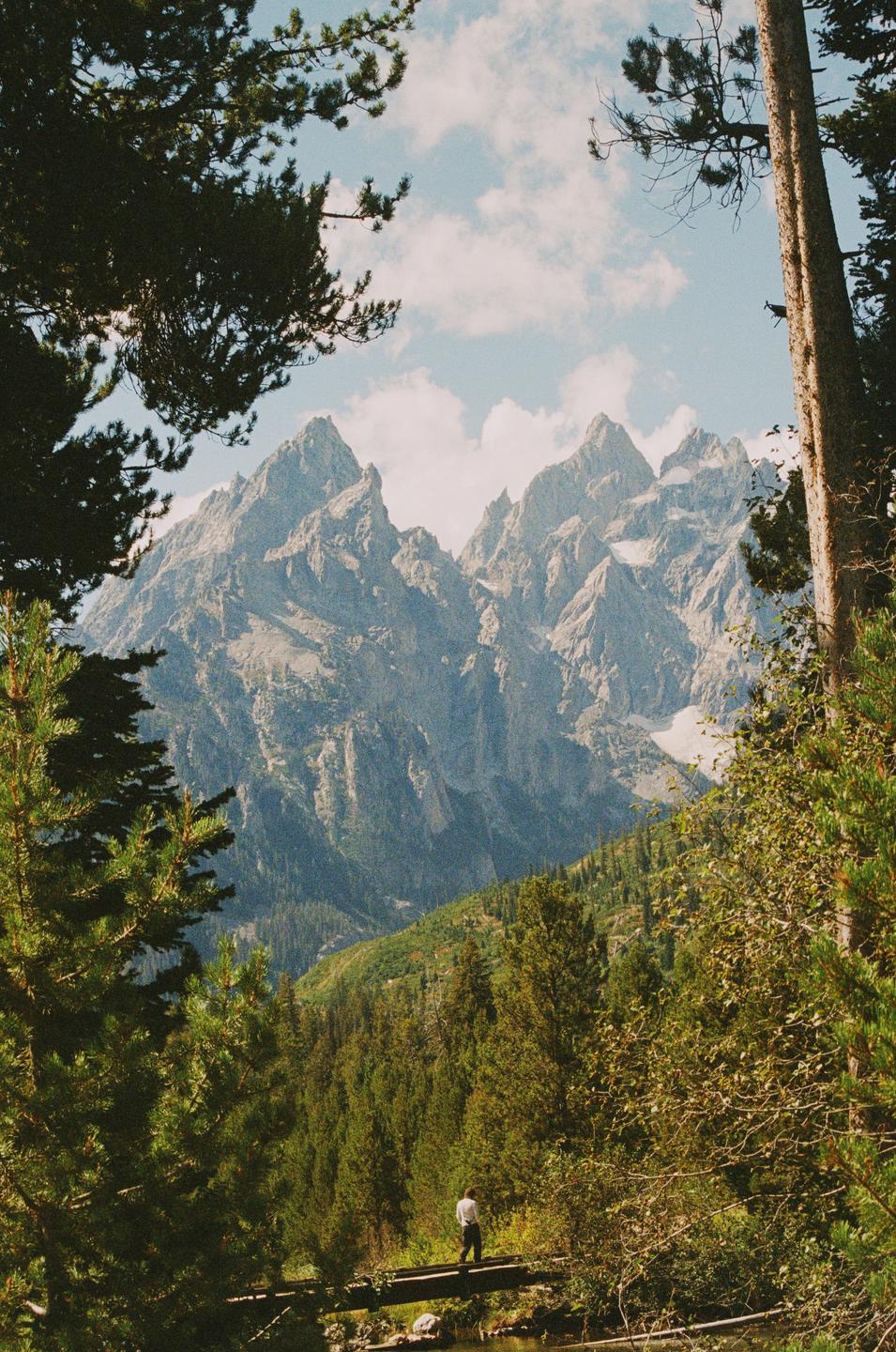 A man stands on a bridge over a river with mountains and a forest in the background.