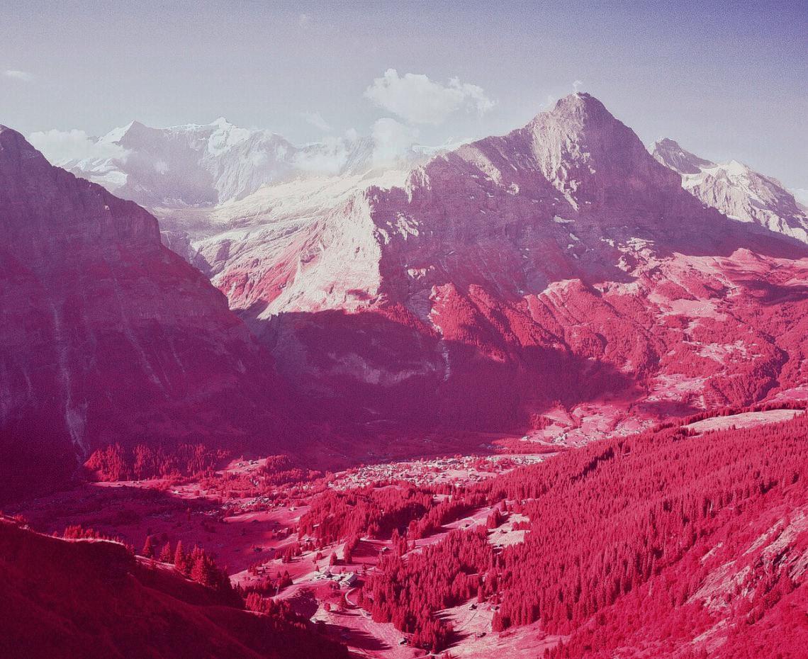 A valley with a small village and a forest of pink trees is nestled between large mountains.