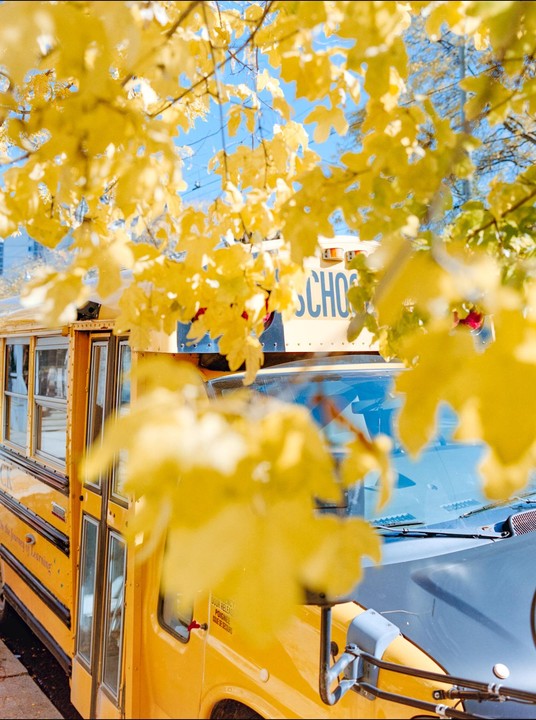 A yellow school bus is partially obscured by bright yellow autumn leaves.