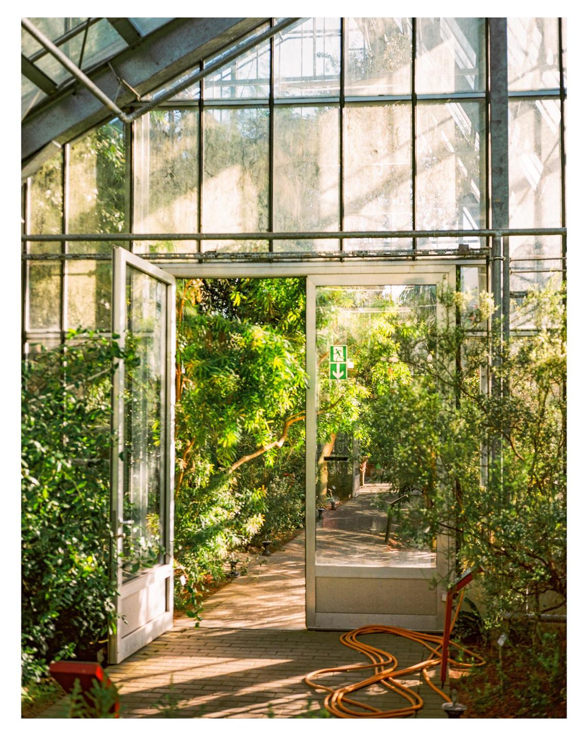 A glass greenhouse with an open door reveals a lush garden path and an orange hose on the brick floor.