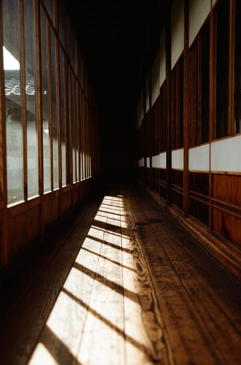 Sunlight streams through a window, casting shadows on a wooden floor in a long, empty hallway.