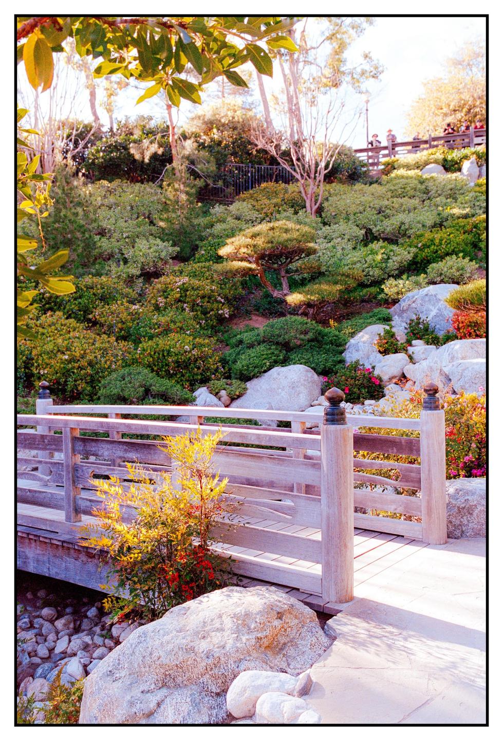 A wooden bridge crosses a rocky stream in a lush Japanese garden.