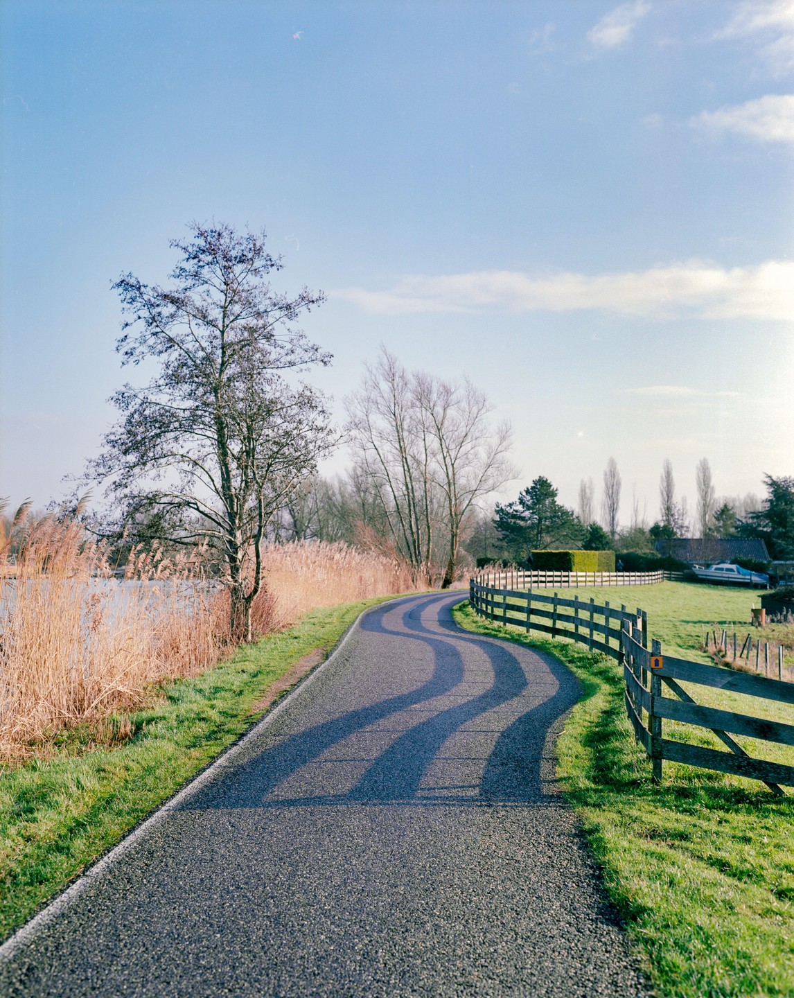 A winding road with wavy shadows from unseen trees runs alongside a body of water with tall reeds and a wooden fence.