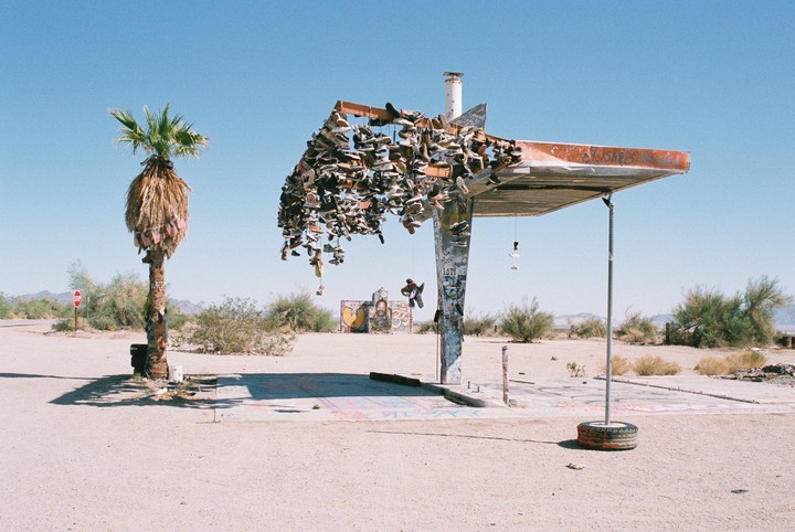 A palm tree stands next to a dilapidated structure covered in shoes and graffiti in a desert landscape.