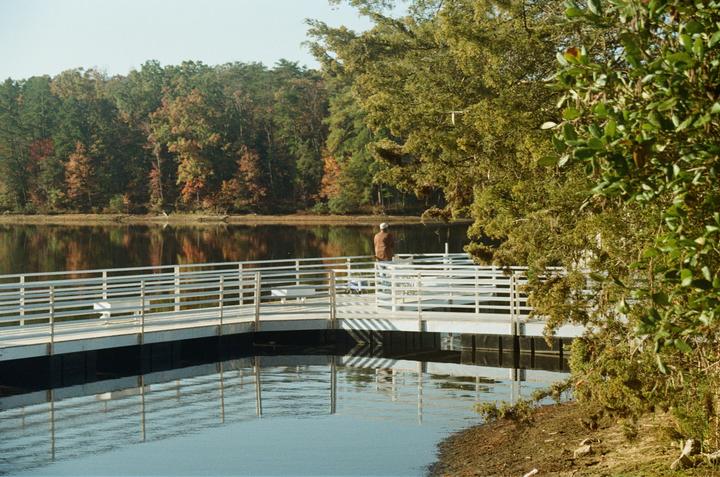 A person stands on a white pier over calm water, with a forest showing autumn foliage in the background.