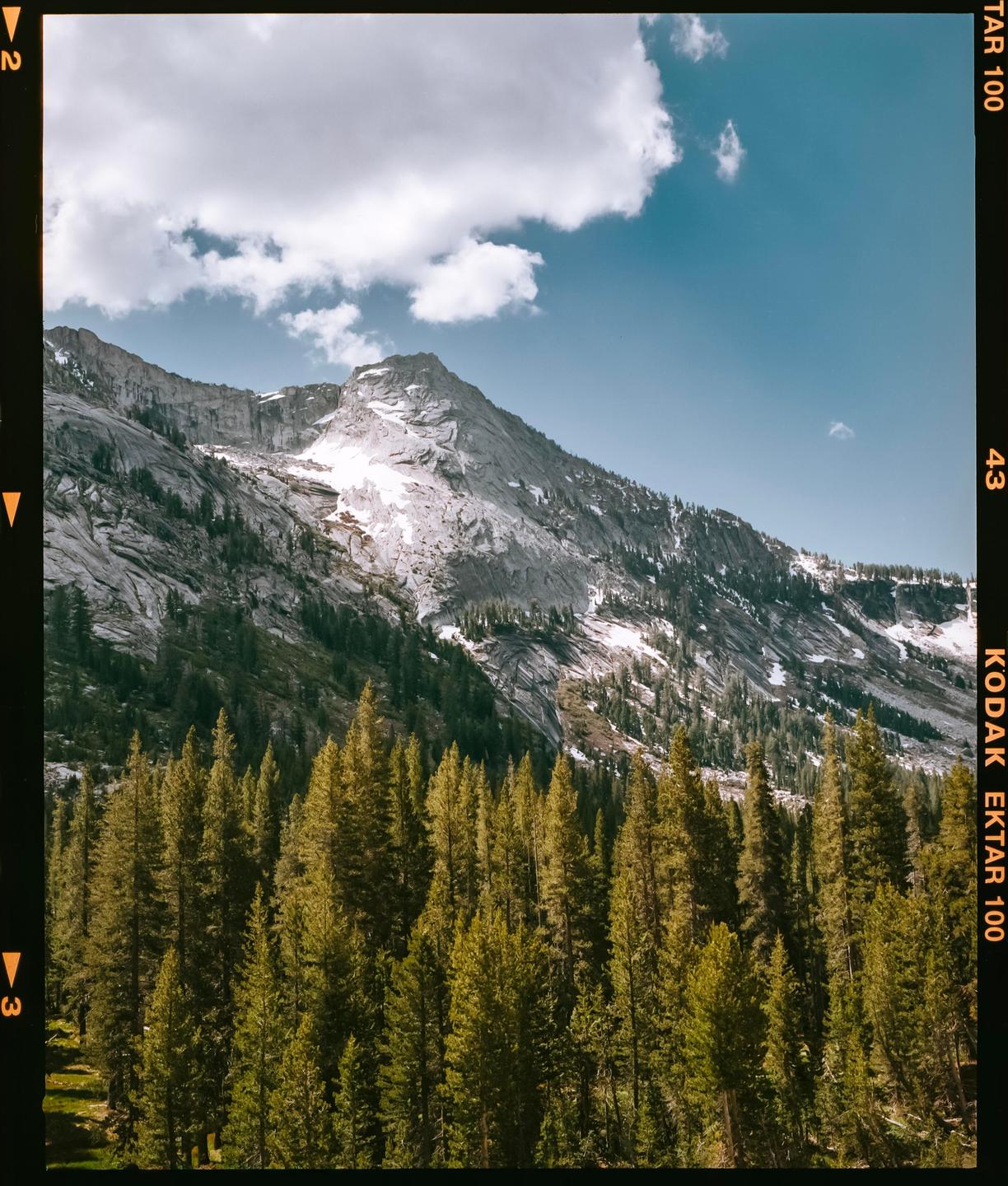 A dense forest of pine trees stands before a large, rocky mountain with patches of snow under a blue sky with white clouds.
