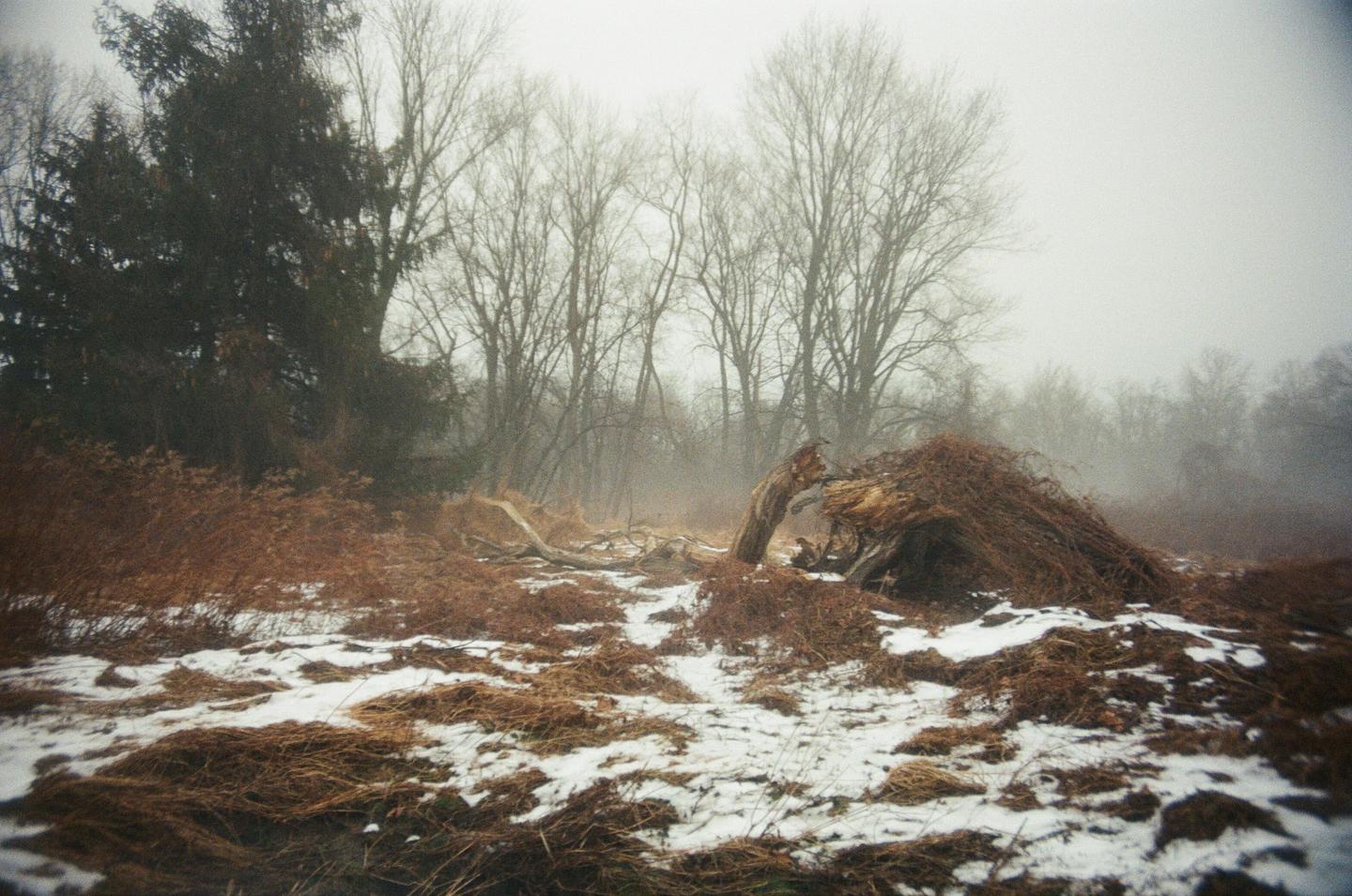 A field with patches of snow and dry grass is covered in fog, with trees in the background.