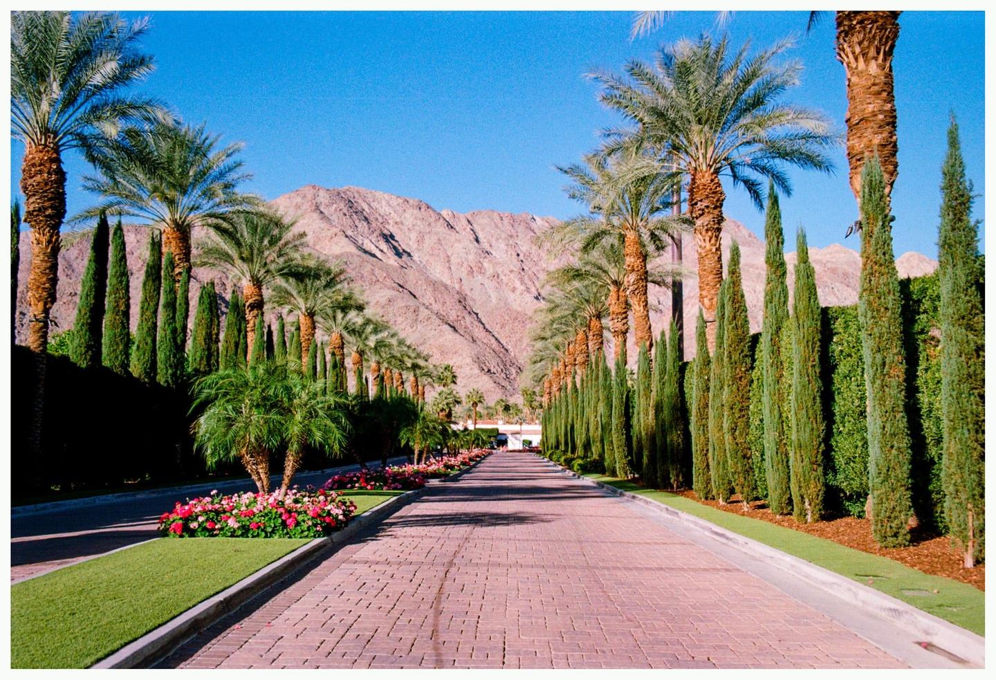 A long brick road is lined with palm trees and tall green bushes leading towards mountains under a clear blue sky.