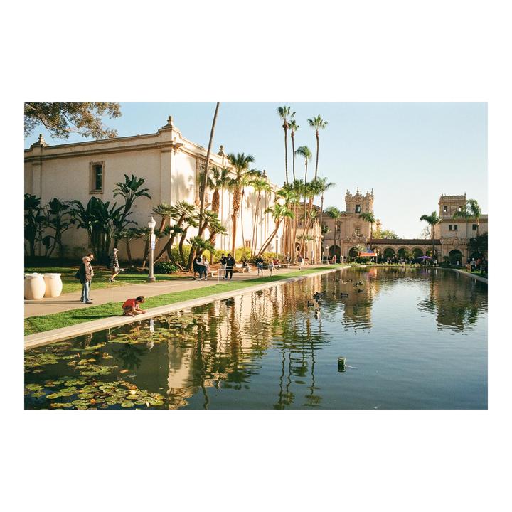 A long pond with lily pads reflects buildings and palm trees, with people walking along its edge.
