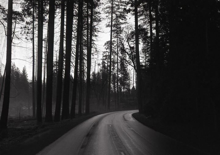 A winding road cuts through a dense forest of tall, dark trees.