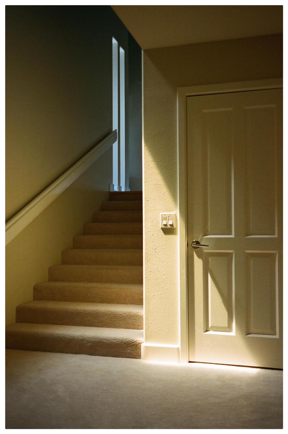 Sunlight illuminates a carpeted staircase and a closed door with a light switch on the wall next to it.