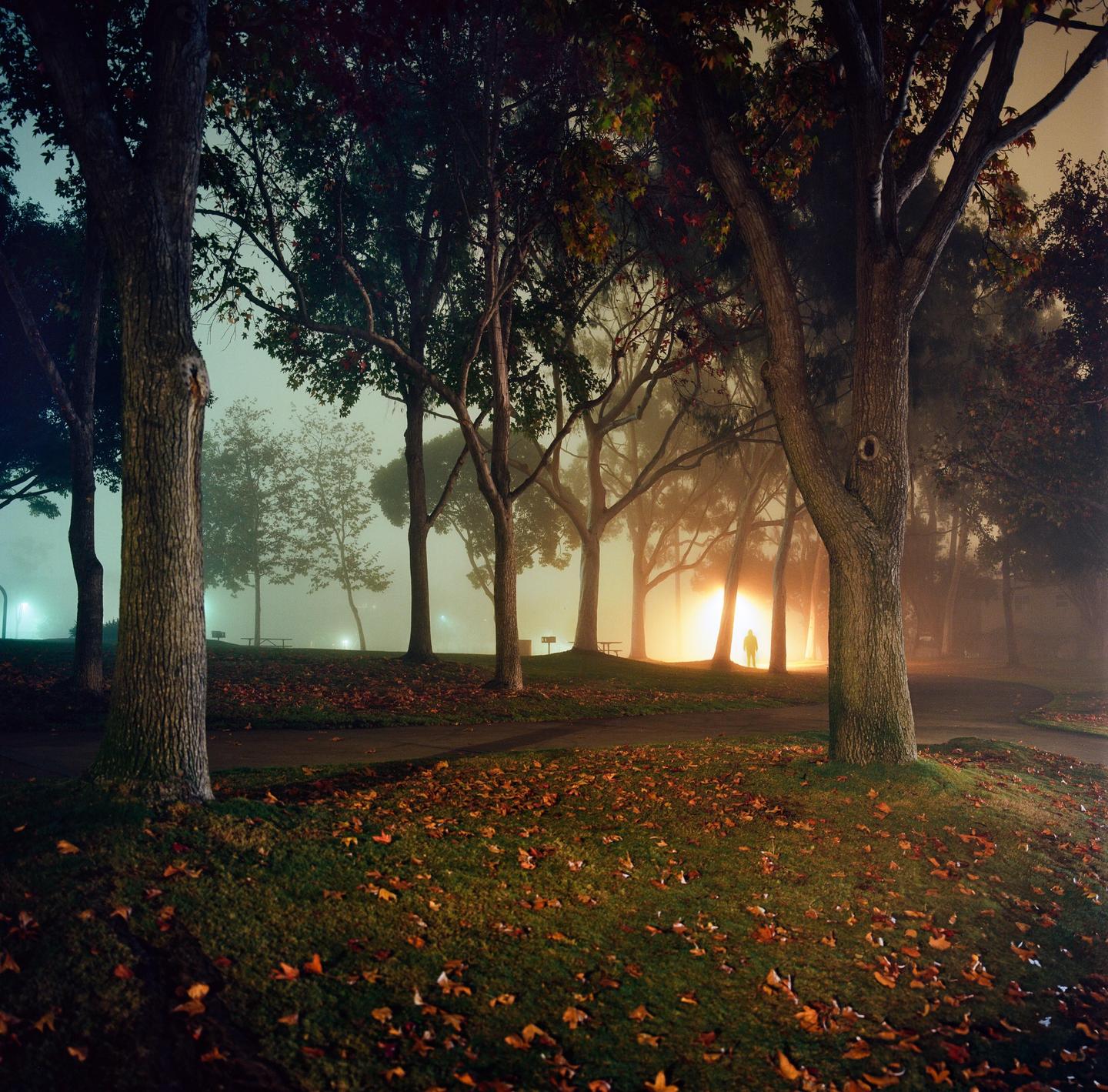 A person stands in a foggy park at night, illuminated by a bright light source.