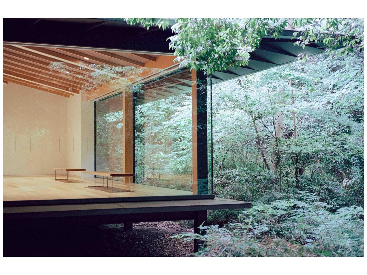 A modern building with large glass windows overlooks a dense forest.